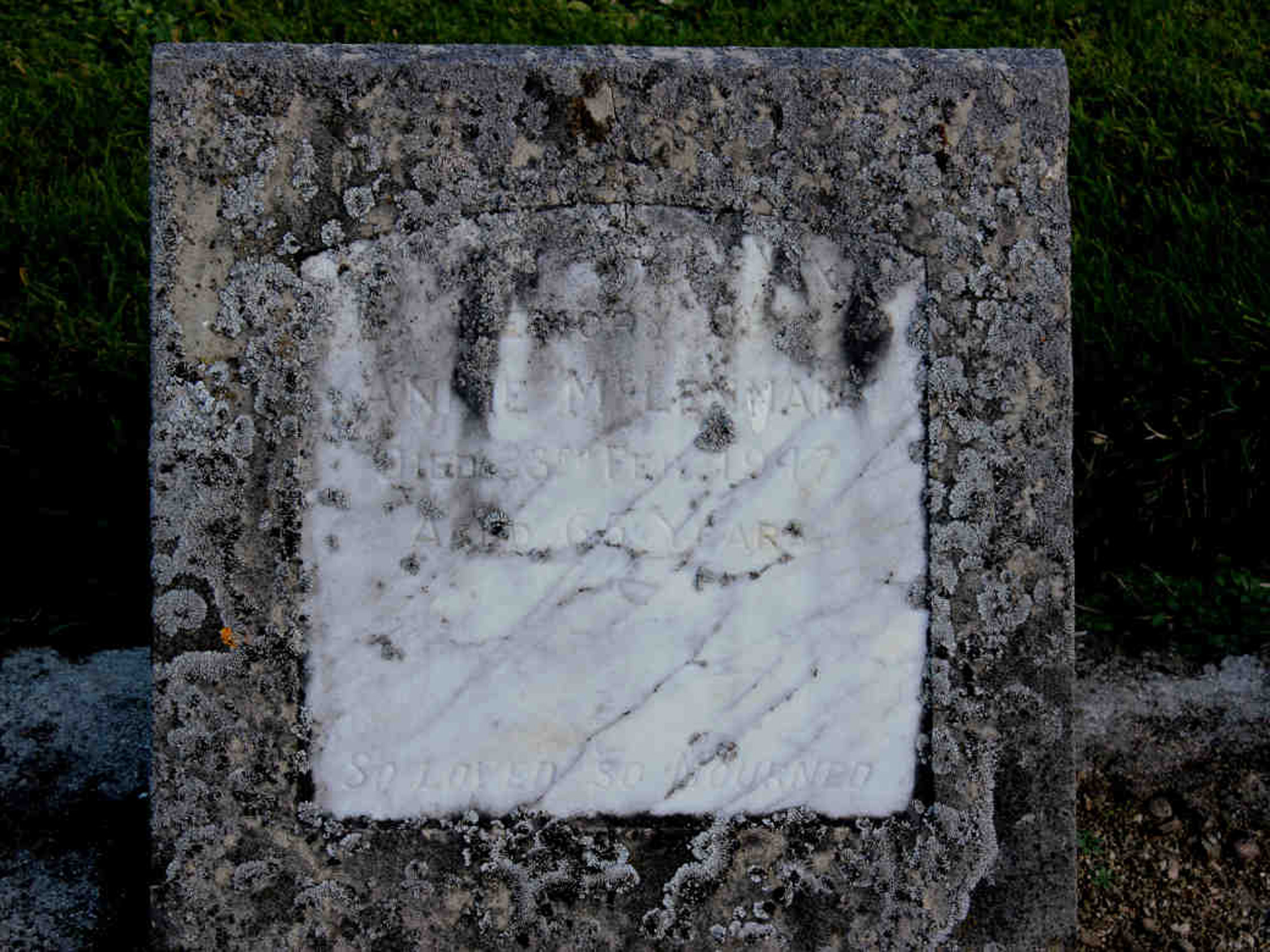 Photo of headstones/Annie Mclennan died 1947 MI East Taieri